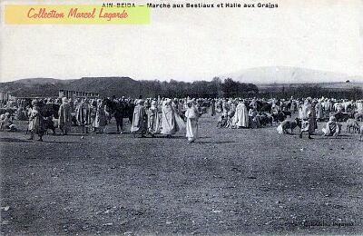Ain-Beida-Marche