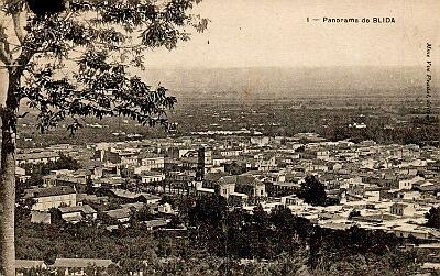 Blida-Panorama