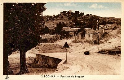 Boghar-FontainePeuplier