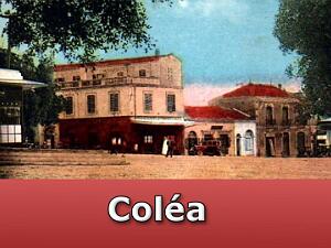 Colea