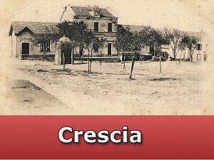 Crescia