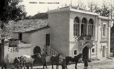 Crescia-Ferme-AouchElCadi