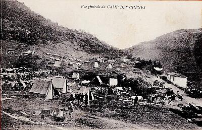 Camp-Des-Chenes-VueGenerale - copie