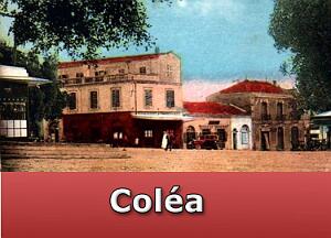 Colea