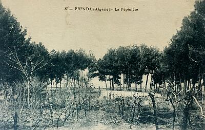 Frenda-Pepiniere