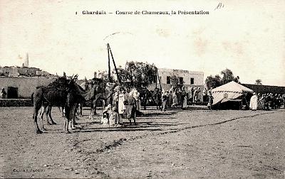 Ghardaia-Course
