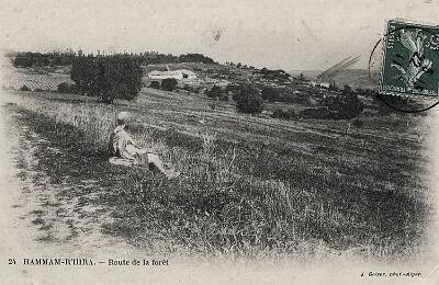 Hammam-Rhira-RouteForet