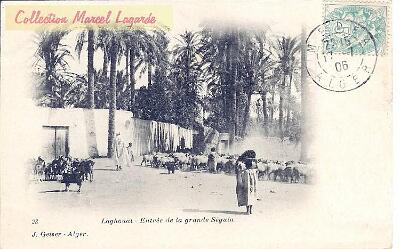 Laghouat-Seguia