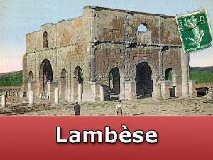 Lambese