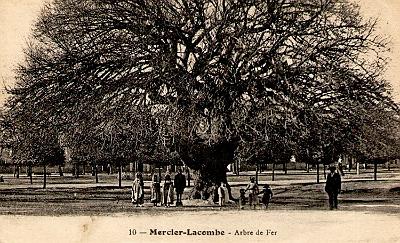 Mercier-Lacombe-ArbreDeFer