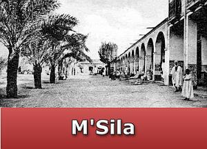 M-Sila