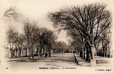 Sebdou-Boulevard