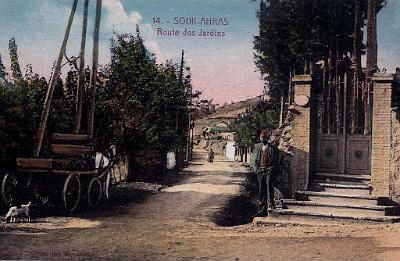 Souk-Ahras-RouteJardins