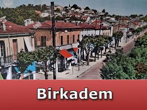 Birkadem