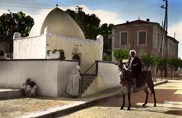 Palikao-Marabout