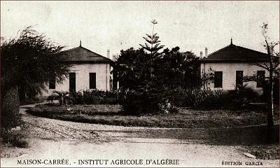 Maison-Carree-InstitutAgricole-Botanique